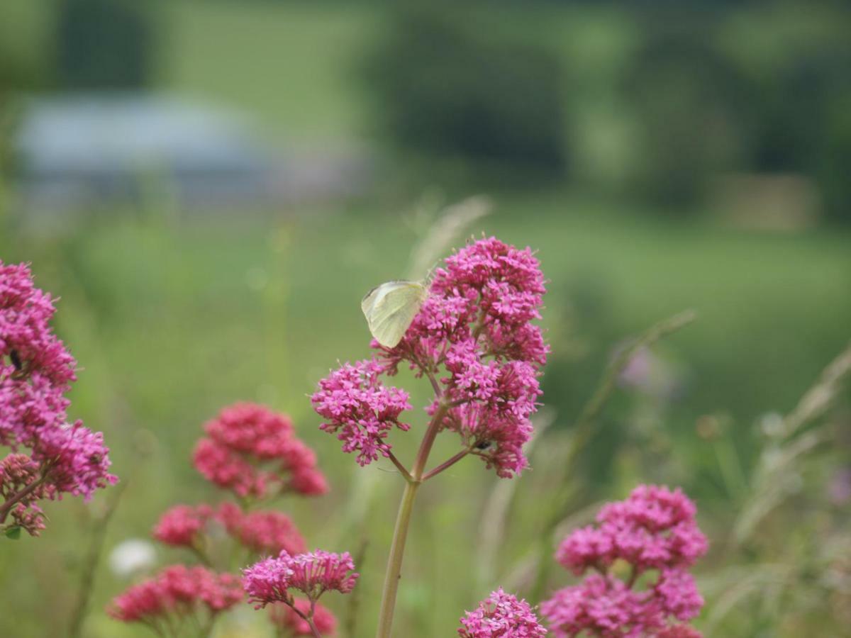 Incheoch Farm Cottage Kilry Buitenkant foto