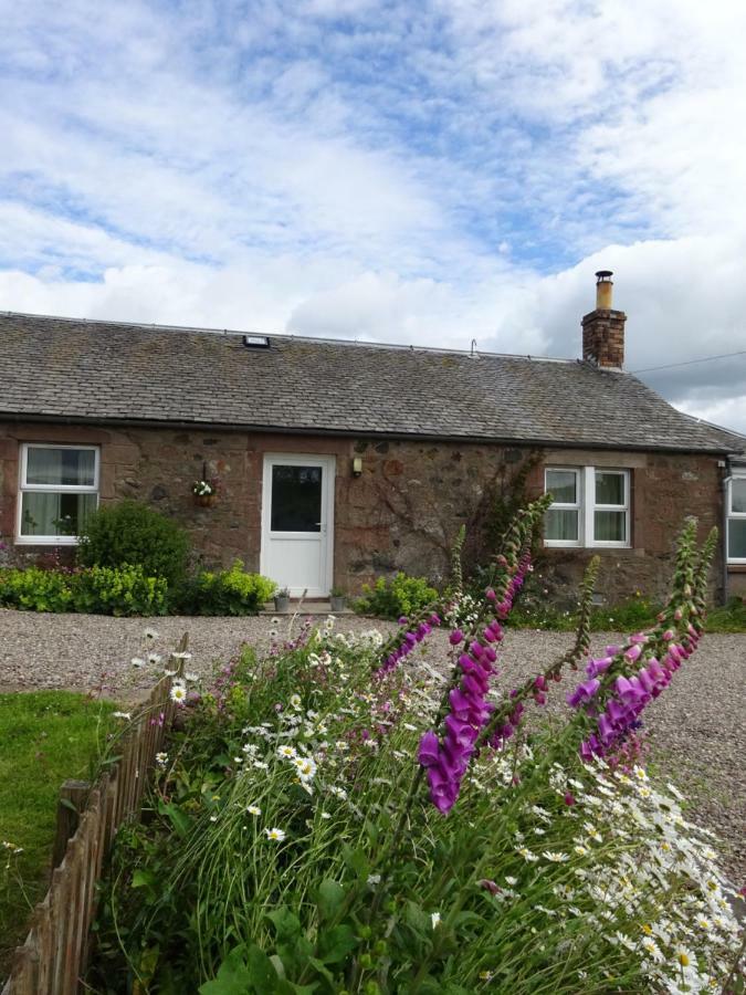 Incheoch Farm Cottage Kilry Buitenkant foto